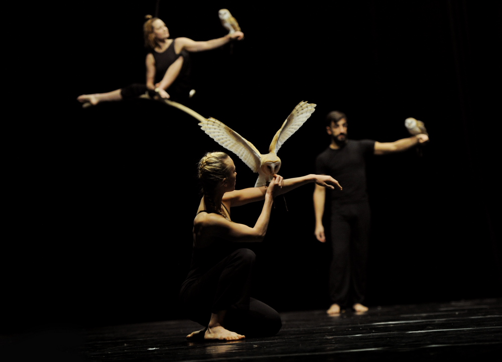 "Ainsi la nuit" - Luc Petton / Marilén Iglesias-Breuker © Alain Julien