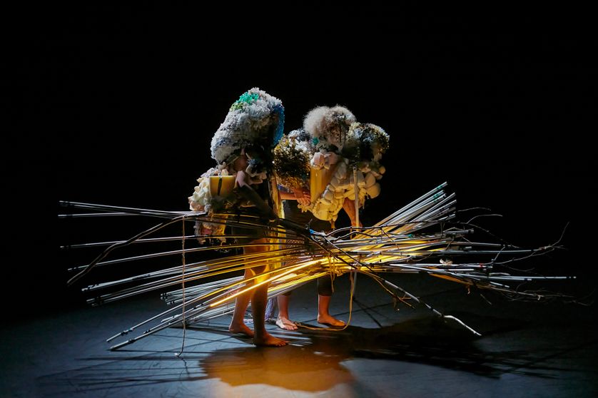 Répétitions " Chêne Centenaire" - de Marion Carriau et Magda Kachouche © Léa Mercier