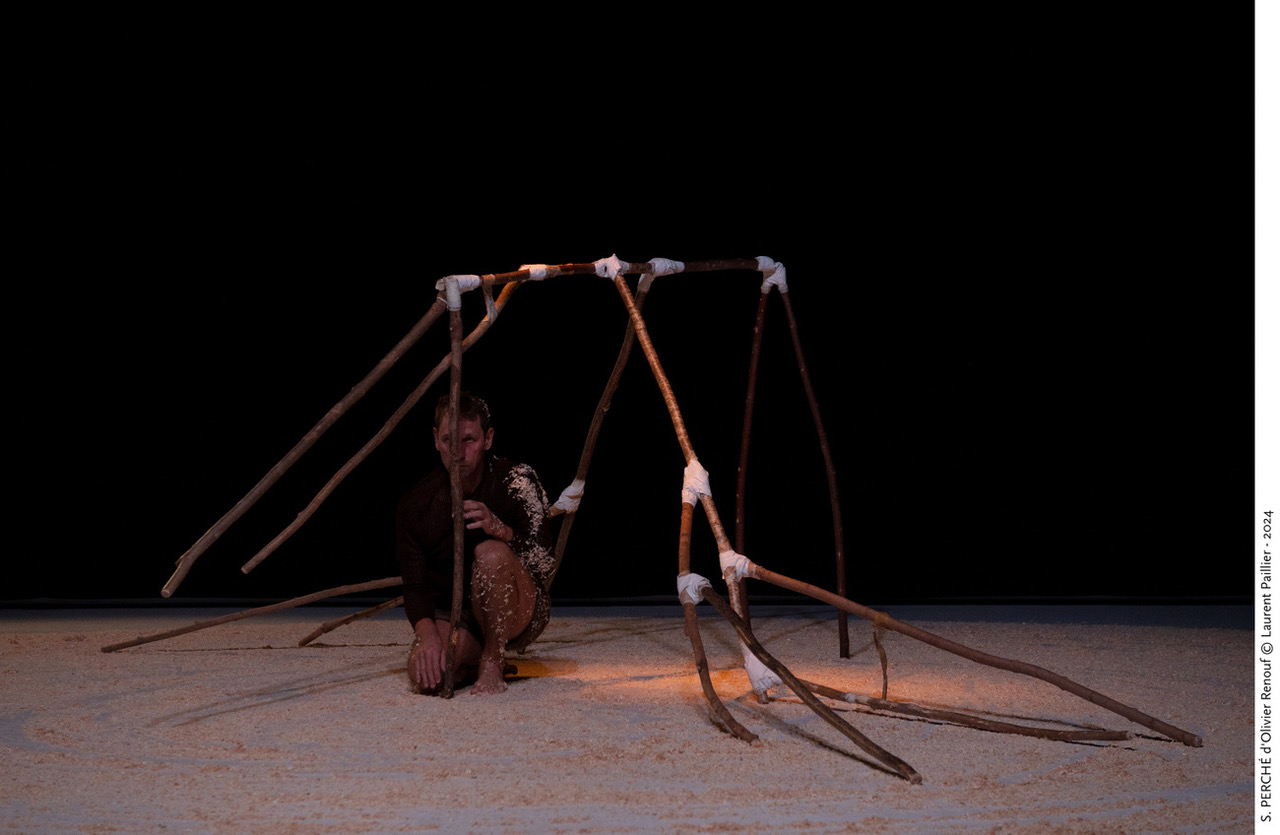 © Laurent Paillier (avant-première)