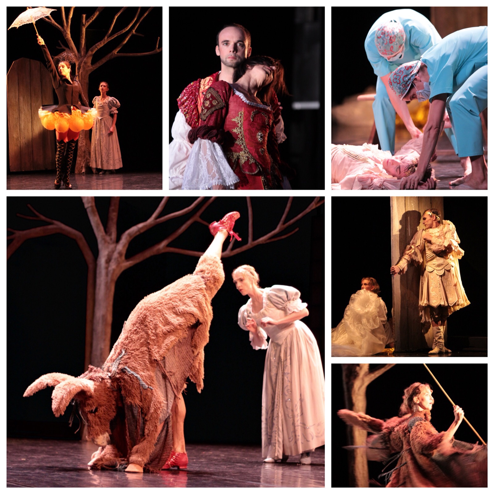 "Peau d'Âne" © Gerard Idier