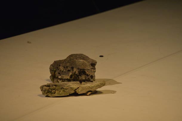 Photographie Cyrille Guir Metz en Scènes Arsenal".