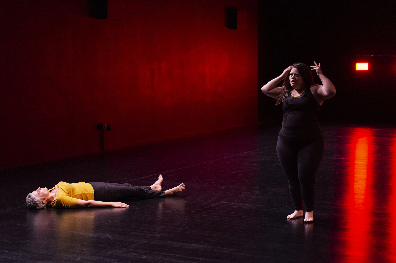 "De Françoise à Alice" -Mickaël Phelippeau © Philippe Savoir