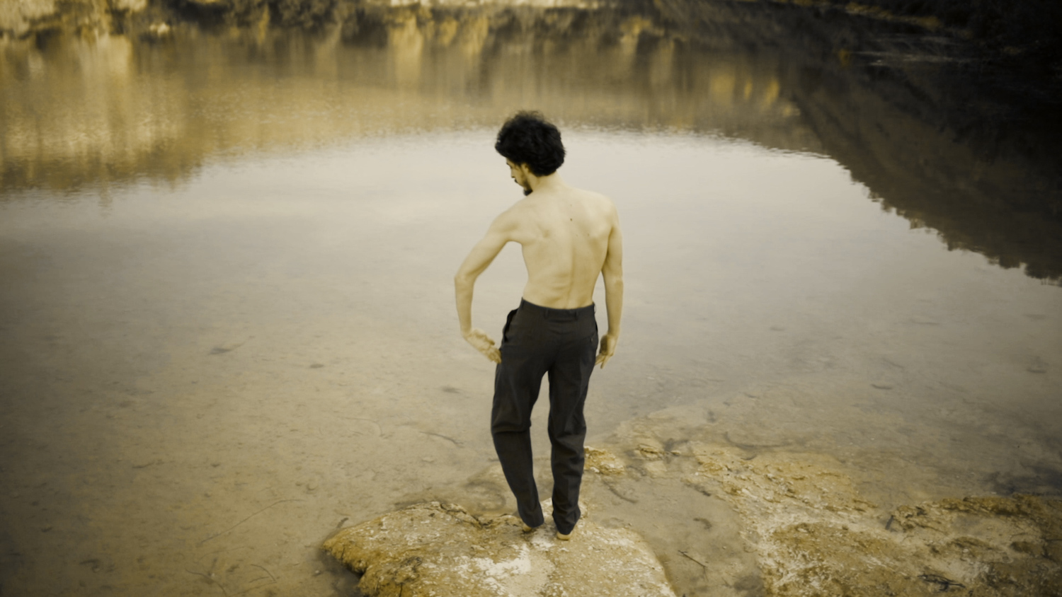 "Our Animal Kingdom" © D.R