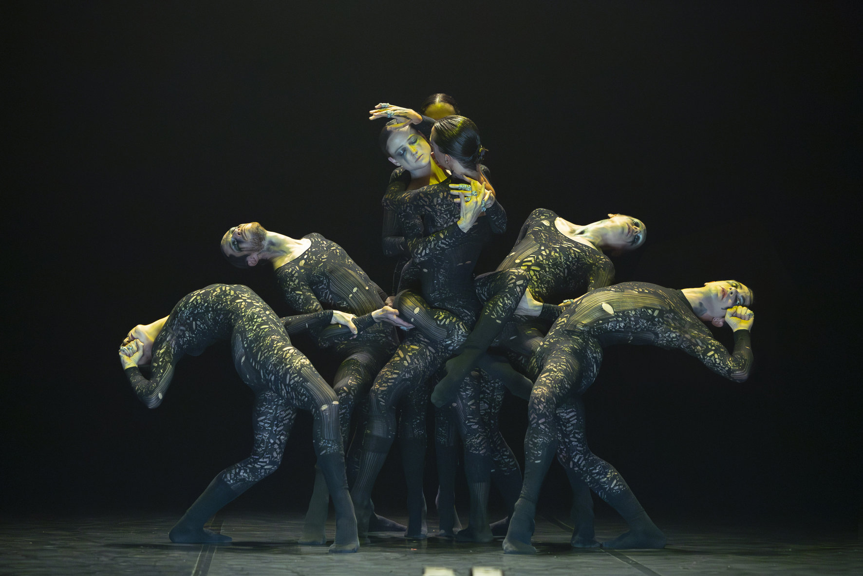 "Into the hairy" - Sharon Eyal © Laurent Philippe