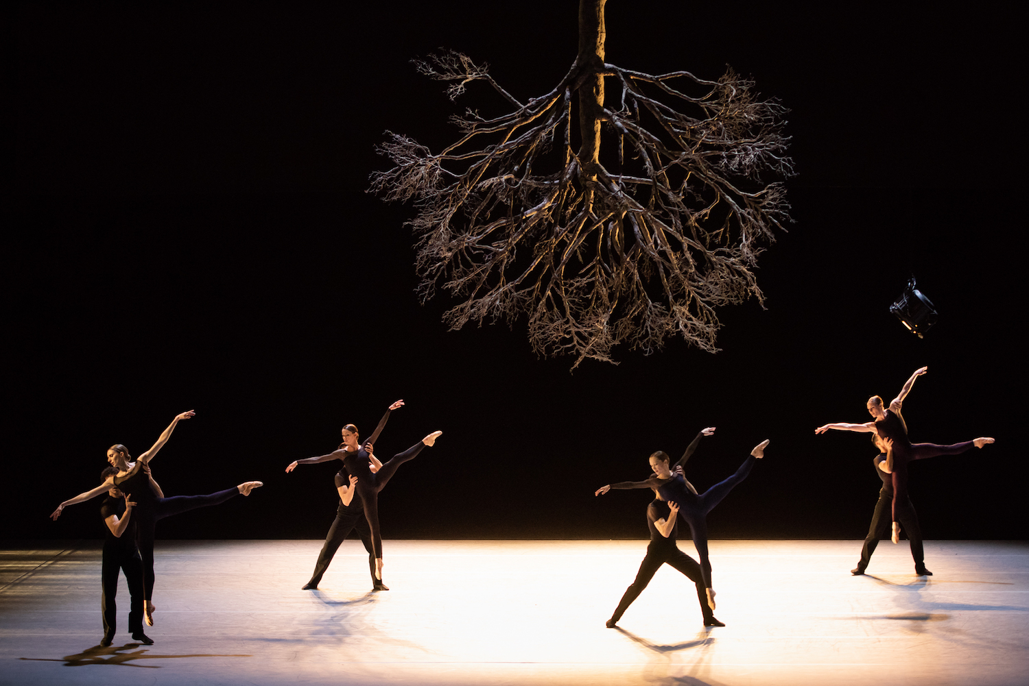 "Wings of Wax" - Jiří Kylián / Ballet de l'Opéra de Lyon © Stofleth