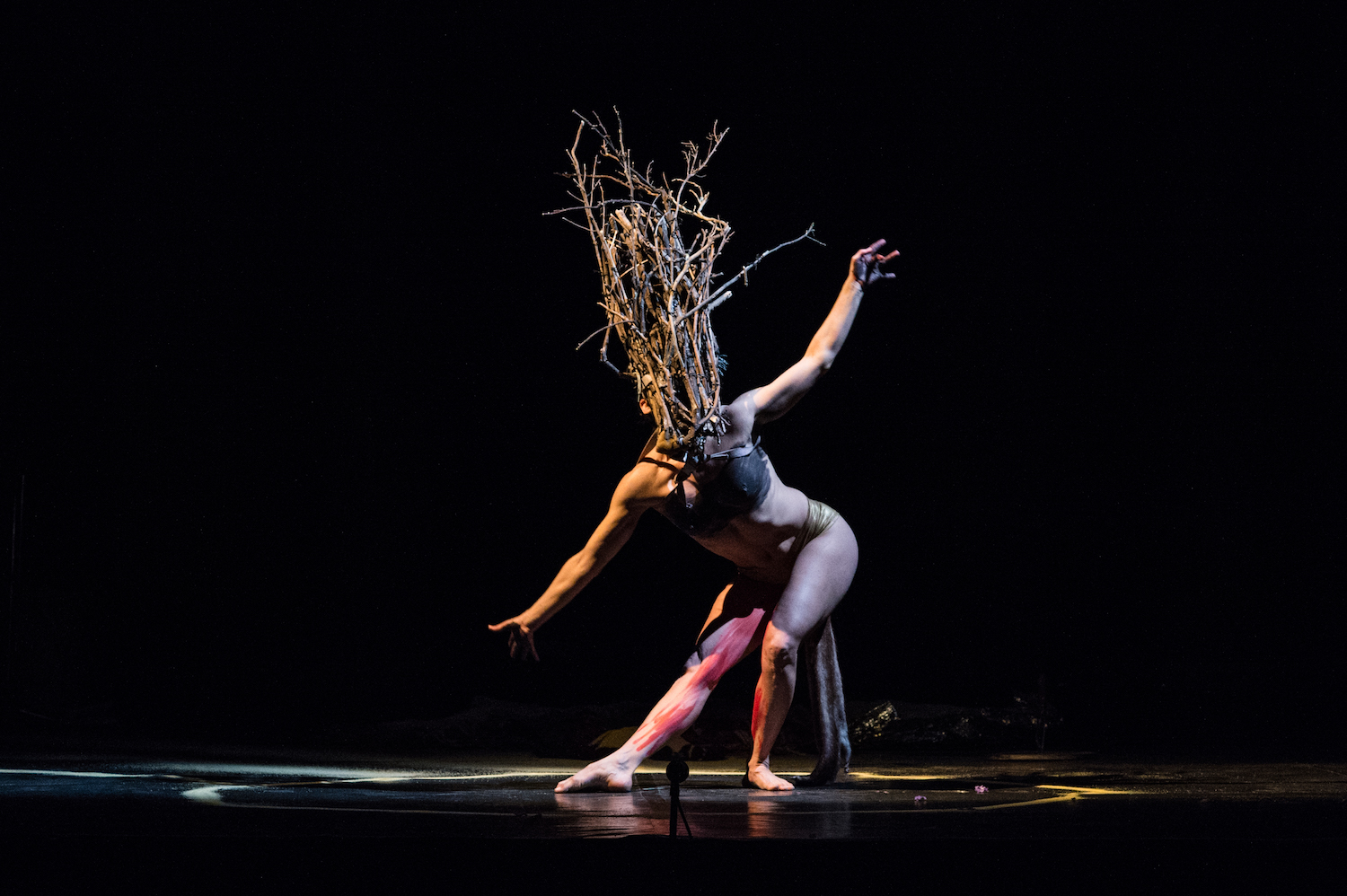 "Solo n°3" - Augustina Sario © Augustina Sario