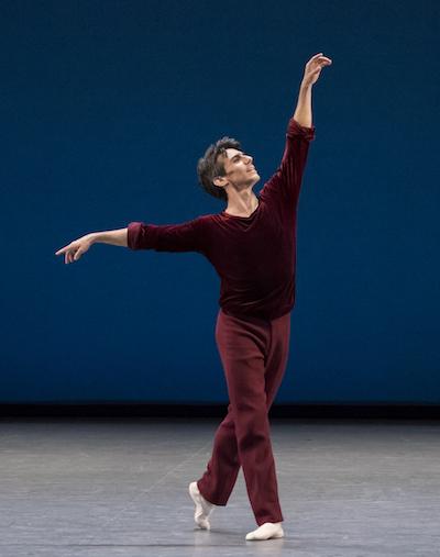 "A Suite of Dances" - Anthony Huxley © Luz Crop