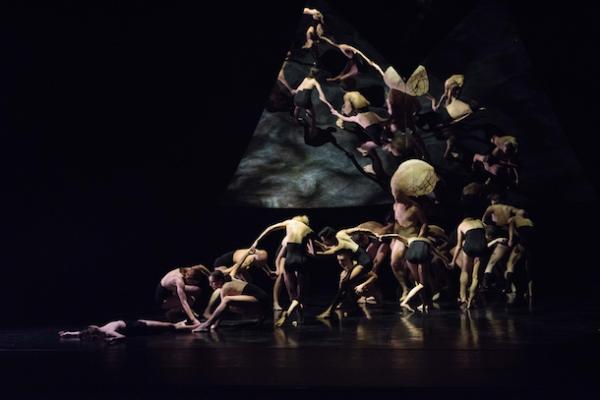 "Sirènes" de Martin Harriague © Olivier Houeix