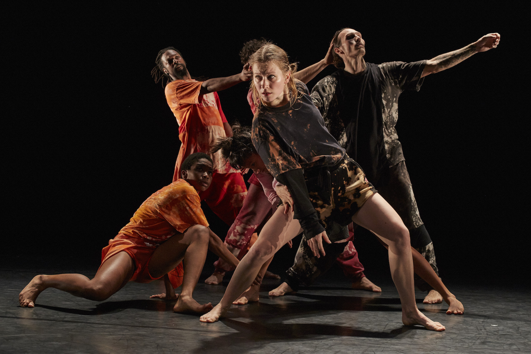 "Threesixnine" - Tentacle Tribe © Alexandre Gilbert