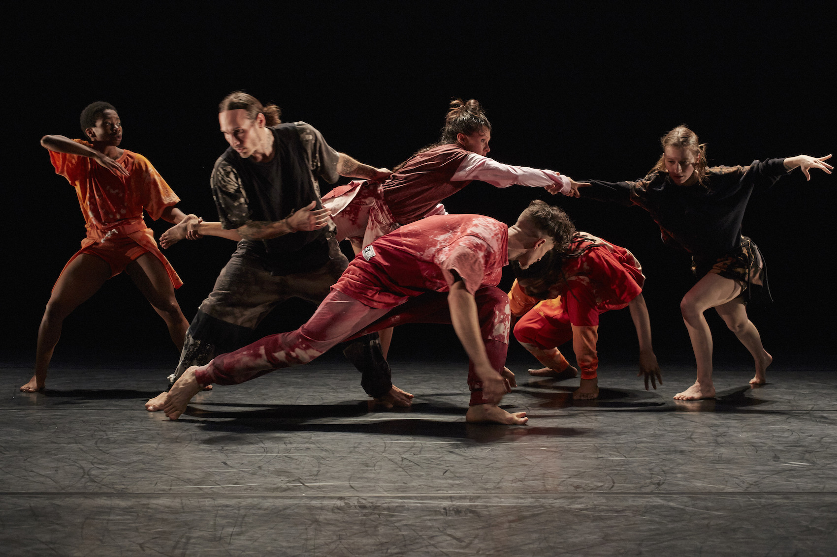 "Threesixnine" - Tentacle Tribe © Alexandre Gilbert