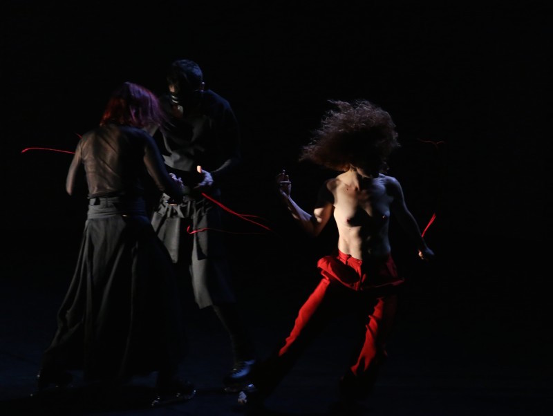 "Animaux de béance" - Camille Mutel © Paolo Porto