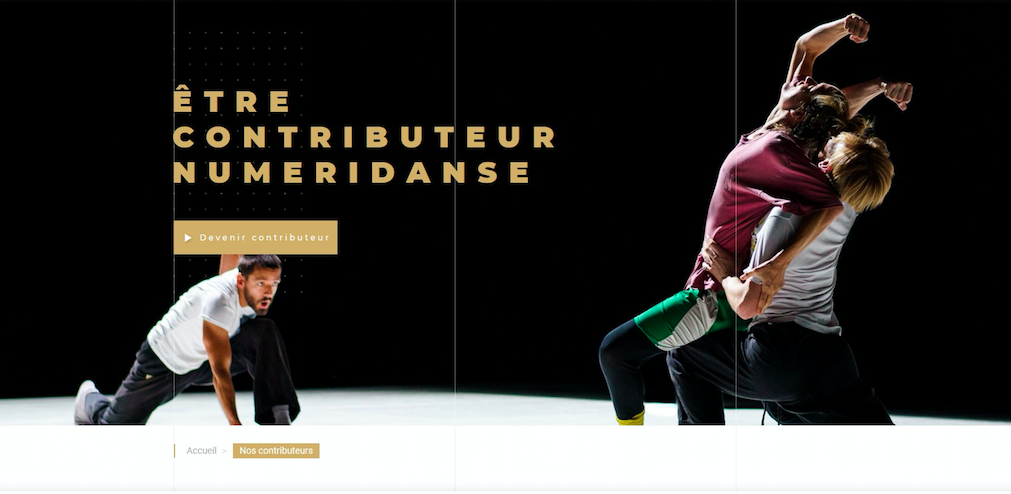 Plateforme Numeridanse © D.R