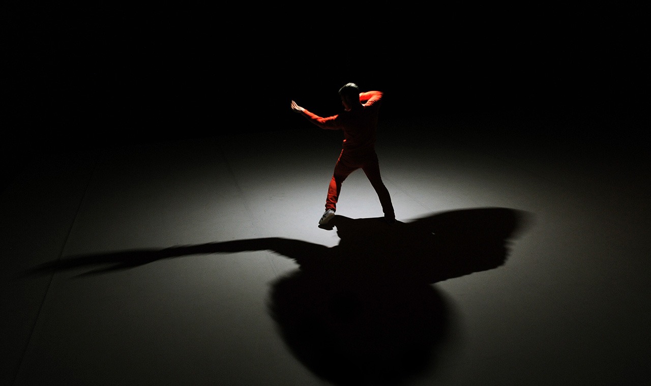 "Nervures" - Fabrice Lambert © D.R