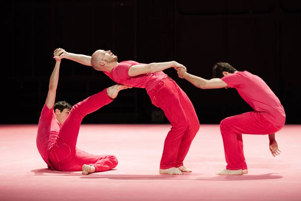 "Rose" © Laurent Philippe