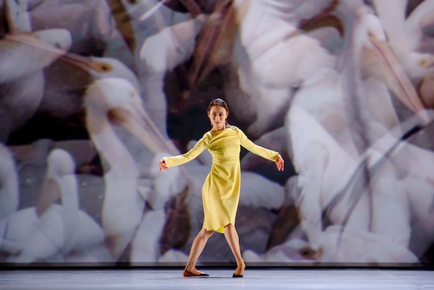 "Shiganè Naï " - José Montalvo © Jeon Kang-in