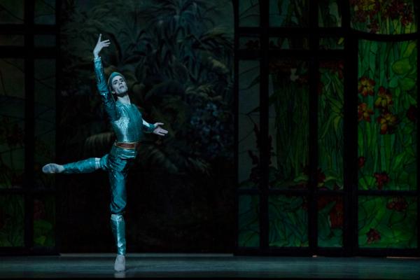 Mathias Heymann (Solor)