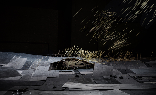 "The Great Tamer" © Julian Mommert