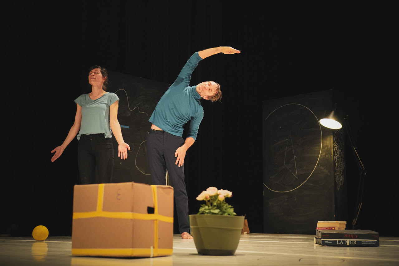 "Pourquoi un arbre est une poule ? " - Marc Lacourt © Pierre Planchenault