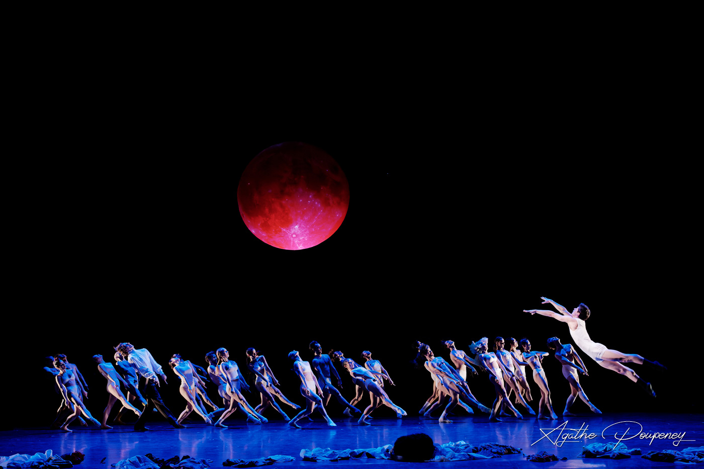 "Alice" - CCN Ballet du Rhin -Amir Hosseinpour et Jonathan Lunn © Agathe Poupeney